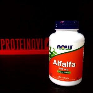 NOW Alfalfa 250tab
