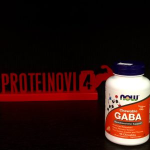 NOW GABA 90 chewable tab