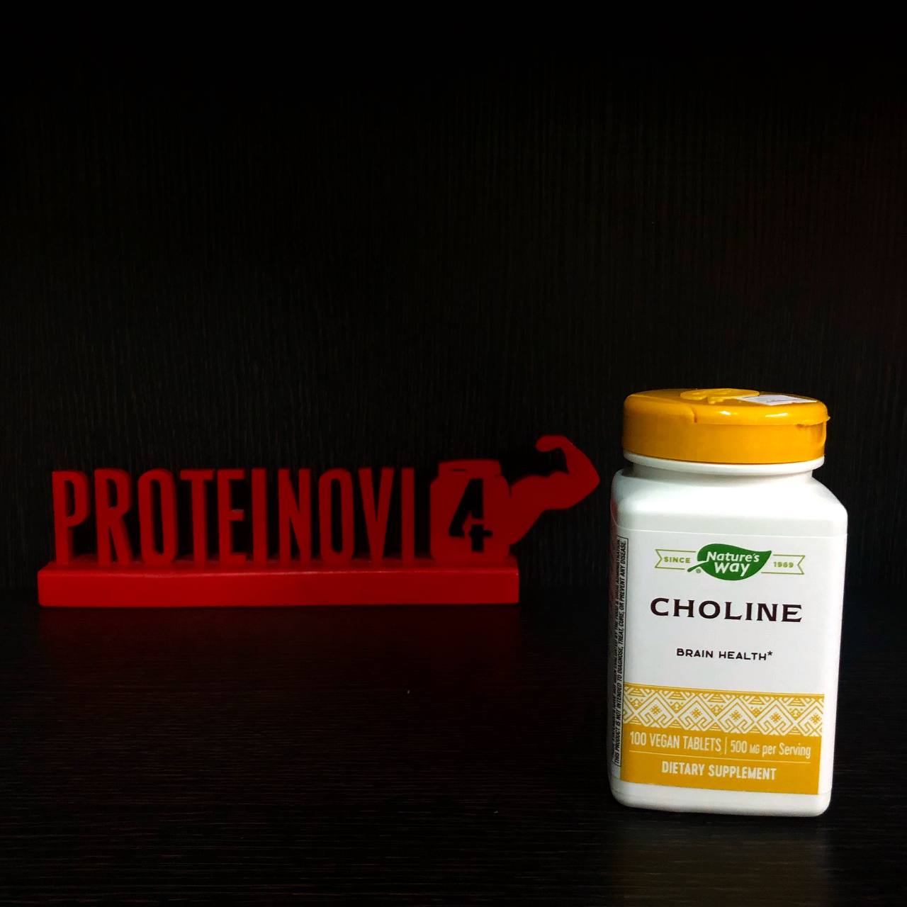 Natures Way Choline 500mg 100tab