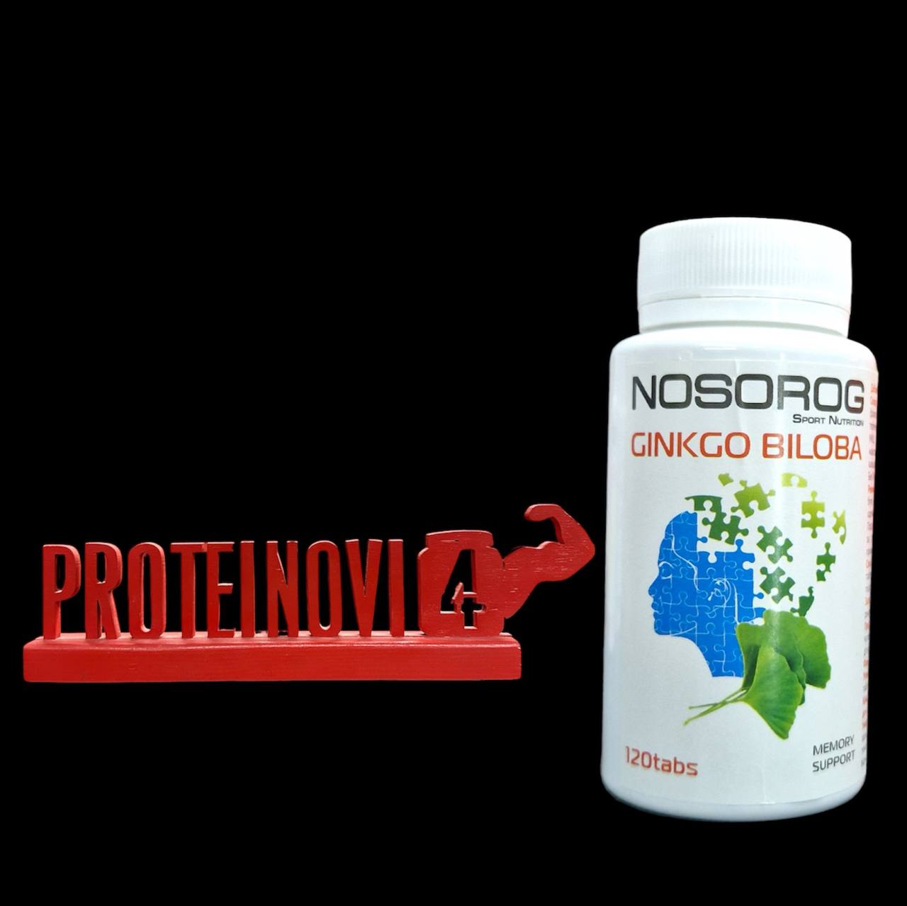 Nosorog Ginkgo biloba 120caps