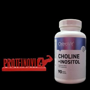 OstroVit Choline + Inositol 90tabs