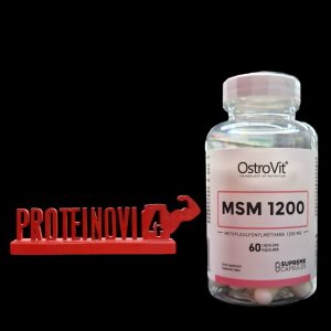OstroVit MSM 1200 60caps
