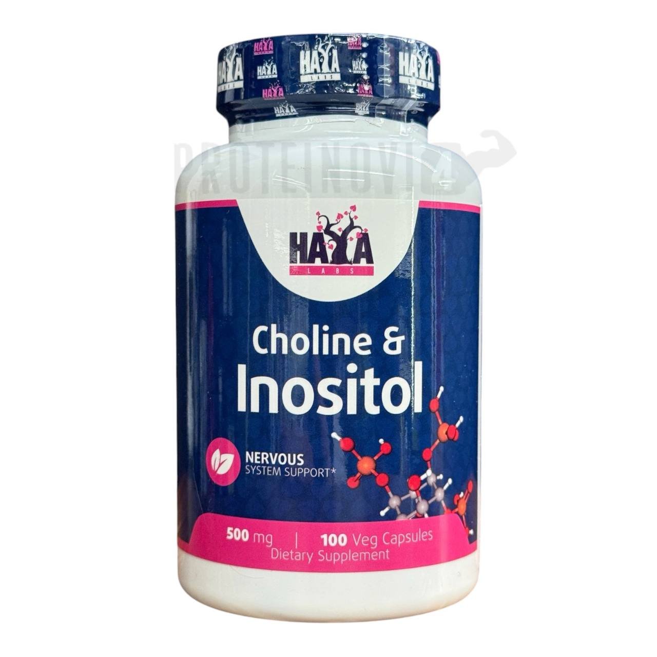 Haya Labs Choline & Inositol 500mg 100caps