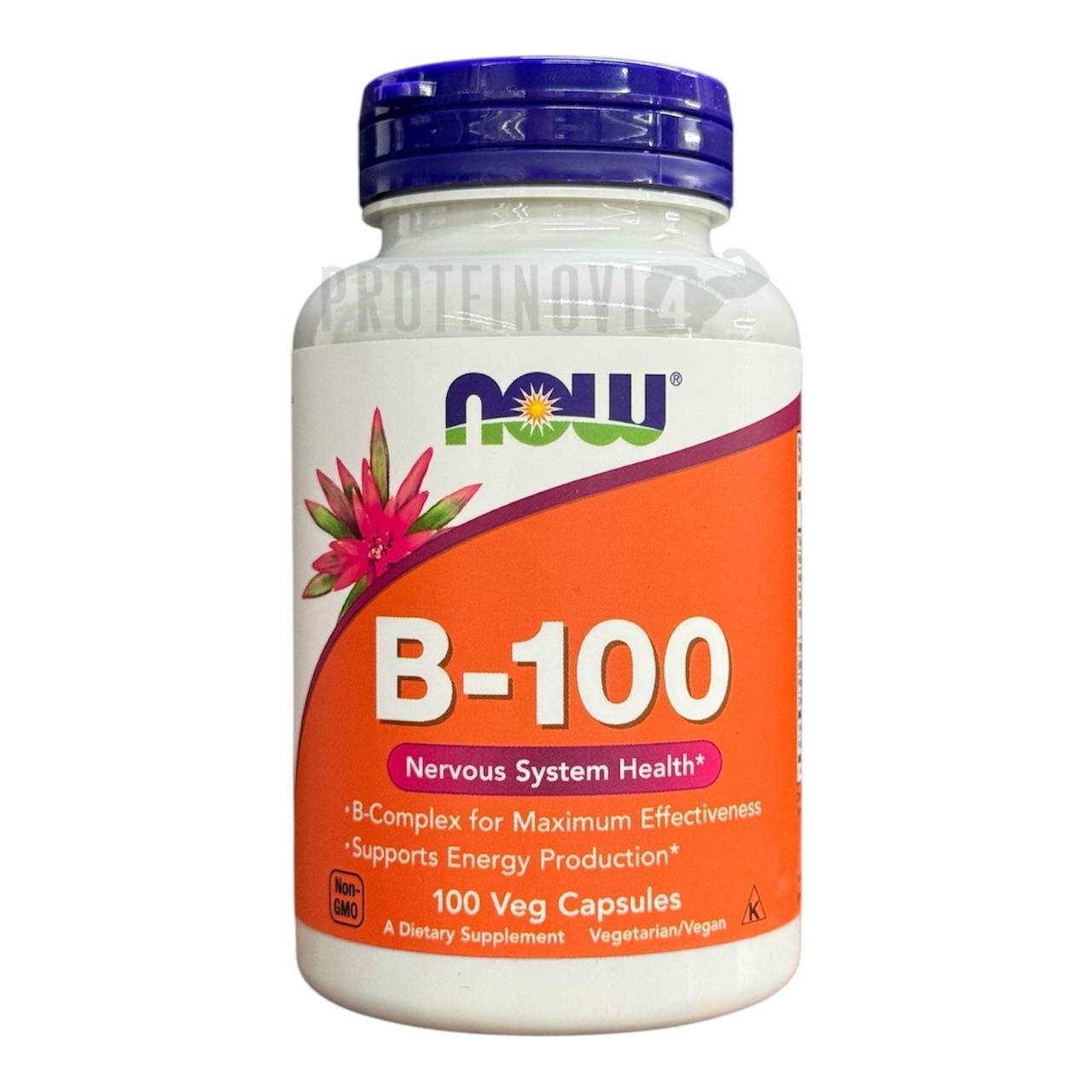 NOW B-100 100VegCaps