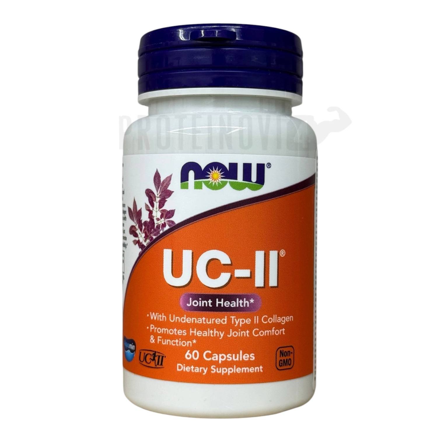 NOW UC-2 40mg Joint Health 60Caps